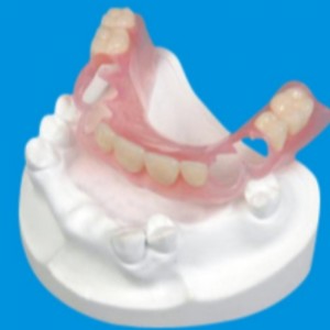 Acrylic Denture series
